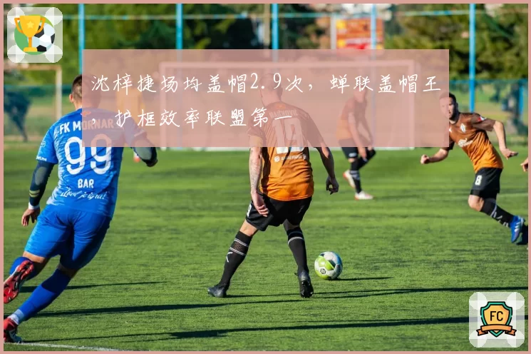沈梓捷场均盖帽2.9次，蝉联盖帽王，护框效率联盟第一