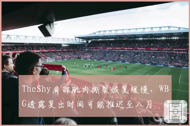 TheShy肩部肌肉撕裂恢复缓慢,WBG透露复出时间可能推迟至八月