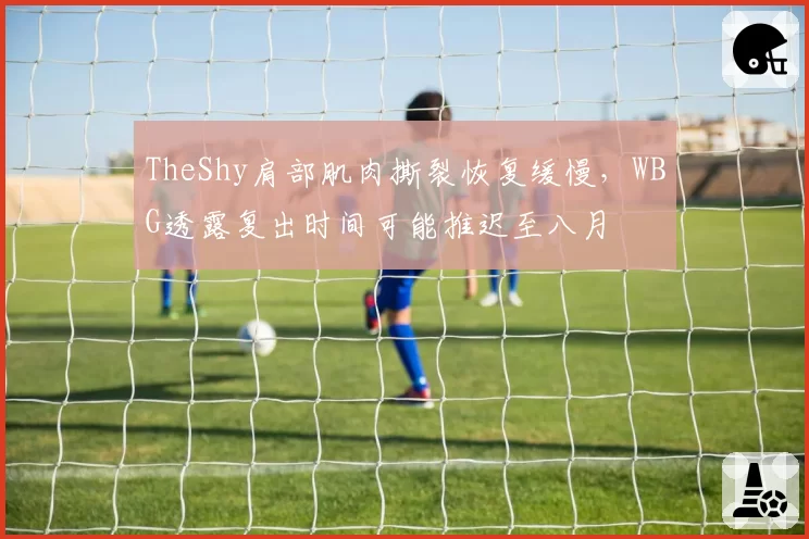 TheShy肩部肌肉撕裂恢复缓慢，WBG透露复出时间可能推迟至八月